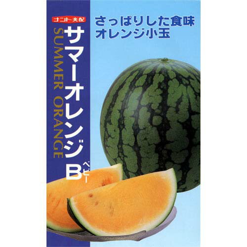 スイカ 種 【 サマーオレンジB (ベビー) 】 小袋(7粒) ( スイカの種 )