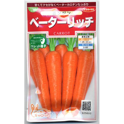 にんじん 種 【 ベーターリッチ 】 種子 小袋（約350粒） （ 種 野菜 野菜種子 野菜種 ） ★のサムネイル