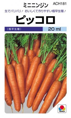 にんじん 種 【 ピッコロ 】 種子 小袋（約20ml） （ 種 野菜 野菜種子 野菜種 ） ★