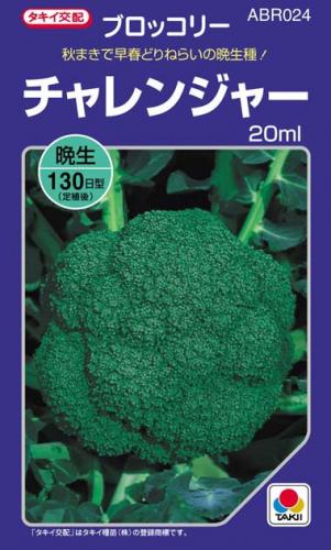 ブロッコリー 種  種子 20ml （ 種 野菜 野菜種子 野菜種 ）