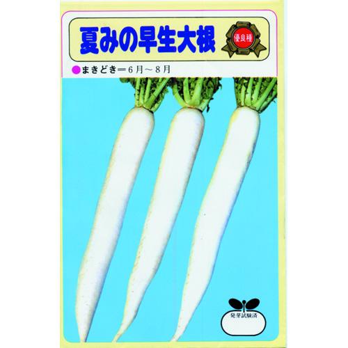この商品はメール便不可です。宅配便でのお届けとなります。種子と責任種子は努めて純良なものをご用意しておりますが、商品の性質上100%の純度や発芽は望めません。商品の包装等に記載のある、発芽試験結果を満たした商品をお届けいたします。発芽は播種後の条件により結果が異なるため、温度や水分などを品目ごとに適した条件下で管理してください。不適条件下では発芽しないことがあり、また100%同一ではなく、まれに異株が出る場合がございます。種子・苗などについて、発芽後および植えつけ後の栽培条件や天候などによって結果が異なりますので、商品の生長後や収穫物に対する補償はいたしかねます。また商品の性質上、結果不良につきましてはお買い上げ金額の範囲内とさせていただきます。(お客様の栽培管理や気象条件による結果不良につきましては、その責任を負いかねます)独自に加工されたものや、お届け後に有効期限を超えられたものにつきましては責任を負いかねます。野菜などの収穫物については、品種の特性や栽培条件などにより生育に差が生じることがあり、収穫物のサイズ、重量、味などは掲載表現と異なる場合がございます。大根の育て方大根は古くから日本で栽培されてきた野菜で、地方によって品種も多く形や肉質などの品種の分化が著しく発達している野菜です。気候は涼しいところを好み、生育温度は15〜20℃が適しています。高温に弱く、関東以南では高冷地を除いた5〜7月まきは病虫害にあいやすく、収穫が難しくなります。寒さには強い方ですが、晩秋以後の低温は根の太りが悪くなるので、栽培地にあった品種を選びましょう。 1.土作り &nbsp; &nbsp; 又根とならないよう、深く良く耕し、約1坪当り苦土石灰300gを混ぜ酸度調整を行います。一週間後、堆肥7kg、緩効性肥料500gを全面に施し、深さ30cm位までよく耕しておきます。 堆肥は完熟したものを用い、種まきまで2週間ほどおきましょう。 幅60cm高さ10cmほどの畝を作ります。水はけのよい火山灰土では、平うねでかまいませんが、低地では高うねにして排水が良くなるようにしたほうが良いでしょう。 2.種まき 条間40〜50cmの2条まきで、株間30cmごとに空き缶の底などで深さ1cmほどのくぼみをつけ、1ケ所に4〜5粒の点まきをし、細かい土で厚さ1cmほどに覆土します。 畑の土がひどく乾燥している場合はたっぷりと水をやりましょう。 3.間引き 種まきから40日ほどたって、本葉が5〜6枚の時に1回めの間引き、2回目は本葉6〜7枚時に2本にします。間引きは葉の形の悪いもの、色の濃いものや病害虫に侵されているものを取り除きます。間引きのタイミングが悪いと生育が悪くなるので注意しましょう。間引き菜お大根菜として食べられます。 4.中耕・追肥 &nbsp; 間引きに合わせて1回目は肥料を株の周りにばらまき、軽く土とまぜながら株元へ土を寄せます。2回目はうねの片方ずつに浅い溝をつくり、そこへ肥料をばらまき通路の土をやわらげながら溝に土をかけるようにしてうねをつくります。 追肥の量は、約1坪あたり、1回目は化成肥料150g、2回目は化成肥料200g〜300g位施します。 5.収穫 栽培時期によって異なりますが、秋どり栽培は60〜70日、春どり栽培は10月まきで120〜140日、3月まきで80〜90日、夏どり栽培は60日位で根が肥大するので、太りしだい収穫します。収穫が遅れると根がス入りになります。ス入りは葉柄のス入りと関係があるので、古い葉のつけ根から3cmぐらいのところを切断し、その中央部がス入りしているようなら、根もス入りしていると判断することができます。夏みの早生三号 萎黄病をはじめ、ウイルス病、軟腐病などに、市販の「みの早生系」の中で一番強く、生育障害も出にくくて、耐暑性にもすぐれているので、連作地や病害多発地での栽培が容易。根部は太めの総太り型で、肌色・肉質ともにすぐれる。夏まきの適期栽培では、生育日数ほぼ50日で根長は40cm、根径は6.5cm、根重801gぐらいが標準の大きさ。 科名 アブラナ科 発芽適温 15〜30゜C 生育適温 17〜20゜C 発芽日数 3〜5日 大根の種 蒔き方(※数値はあくまでも目安です。特に、畝幅や条数・播種方法などは栽培方法を限定するものではありません） 播種方法 種子形態 畝幅 （cm） 条数 （条） 株間 （cm） 10a当たり 株数 10a当たり 播種量 10a当たり 播種量（粒数） 20ml当たり 粒数 点播き 　 120 2 20〜30 5,500〜8,500 4〜6dl 1.4万〜3万 700〜1,000
