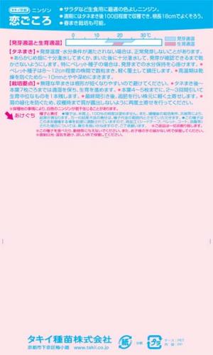 にんじん 種 【 恋ごころ 】 種子 小袋（約500粒） （ 種 野菜 野菜種子 野菜種 ） ★