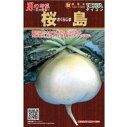 大根 種 【 トキタの男の野菜シリーズ桜島 】 種子 小袋(約8ml) ( 種 野菜 野菜種子 野菜種 )