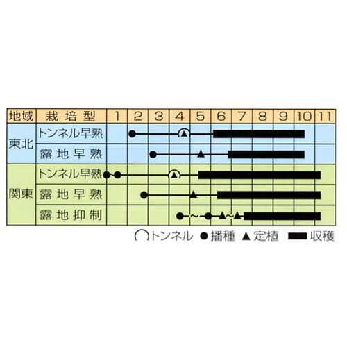 なす 種 【秋田系梵天丸】 0.7ml （ 種 野菜 野菜種子 野菜種 ）
