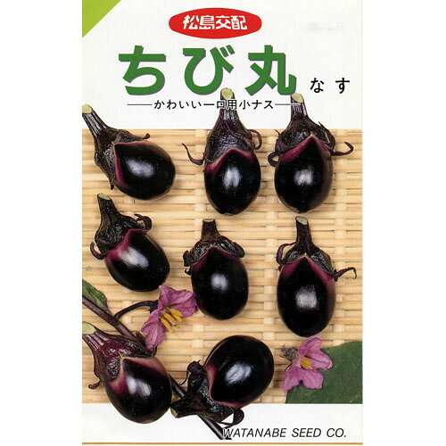 なす 種 【ちび丸】 0.6ml （ 種 野菜 野菜種子 野菜種 ）