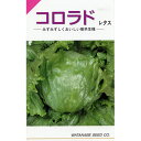 レタス 種 【 コロラド 】 小袋(0.9ml) ( レタスの種 )