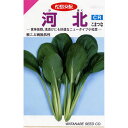 小松菜 種 【 河北CR 】 小袋(6.6ml) ( 小松菜の種 )