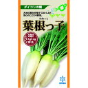 大根 種 【 葉根っ子 】 種子 小袋(約2ml) ( 種 野菜 野菜種子 野菜種 ) ★