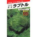 レタス 種 【 ラプトル 】 種子 小袋(約1ml) ( 種 野菜 野菜種子 野菜種 )