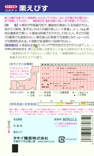 カボチャ 種 【 栗えびす 】 小袋(DF 1...の紹介画像2