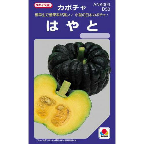 樂天商城 - カボチャ 種 【 はやと 】 小袋(DF 19粒) ( カボチャの種 )