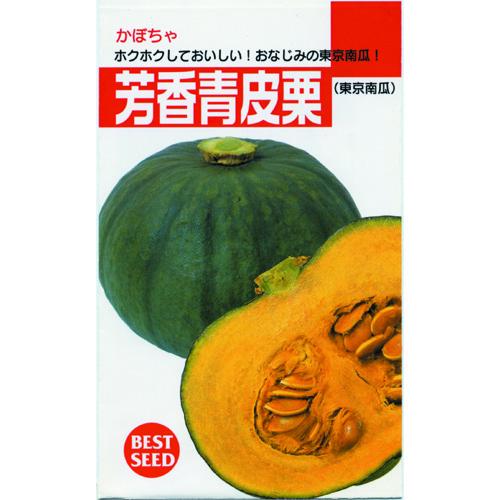カボチャ 種 【 芳香青皮栗 】 小袋 (約12粒) ( カボチャの種 )
