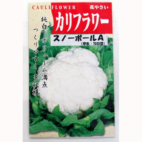 カリフラワー 種 【スノーボールA】 1ml | 農業屋.com