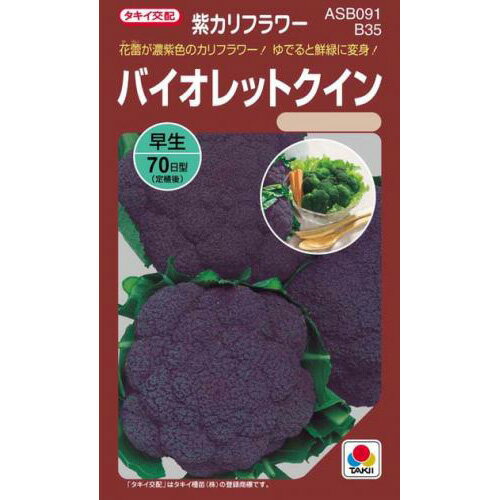 カリフラワー 種 【 バイオレットクイン 】 小袋(RF 0.6ml) ( カリフラワーの種 )