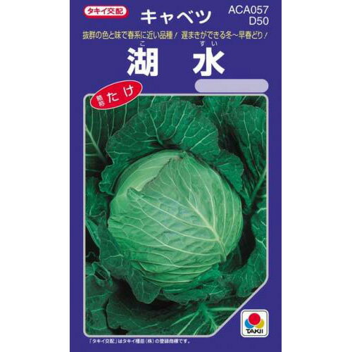 キャベツ 種 【 湖水 】 小袋(1.8ml) ( キャベツの種 )