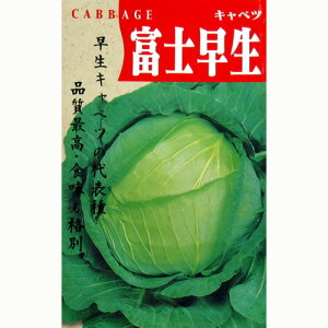 キャベツ 種 【 富士早生 】 種子 小袋（約1.5ml） <br>（ 種 野菜 野菜種子 野菜種 ）