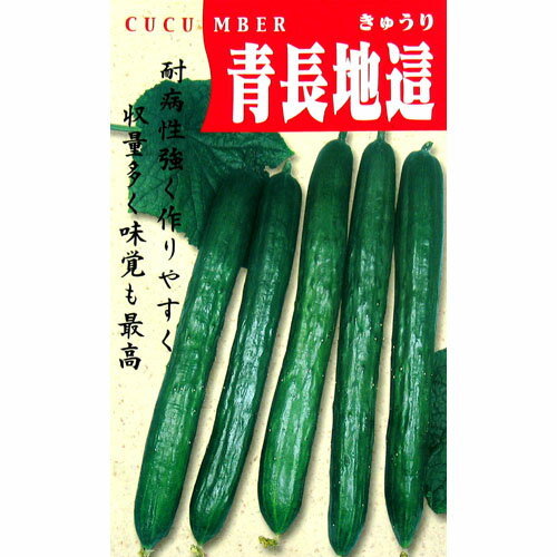 メール便で10袋まで同梱できます。 種子と責任種子は努めて純良なものをご用意しておりますが、商品の性質上100%の純度や発芽は望めません。商品の包装等に記載のある、発芽試験結果を満たした商品をお届けいたします。発芽は播種後の条件により結果が異なるため、温度や水分などを品目ごとに適した条件下で管理してください。不適条件下では発芽しないことがあり、また100%同一ではなく、まれに異株が出る場合がございます。種子・苗などについて、発芽後および植えつけ後の栽培条件や天候などによって結果が異なりますので、商品の生長後や収穫物に対する補償はいたしかねます。また商品の性質上、結果不良につきましてはお買い上げ金額の範囲内とさせていただきます。(お客様の栽培管理や気象条件による結果不良につきましては、その責任を負いかねます)独自に加工されたものや、お届け後に有効期限を超えられたものにつきましては責任を負いかねます。野菜などの収穫物については、品種の特性や栽培条件などにより生育に差が生じることがあり、収穫物のサイズ、重量、味などは掲載表現と異なる場合がございます。青長地這 果長が約20cmの、短形の白イボ品種。果色は濃緑で、肉質が特によい。葉は小さく、分枝数が特に多くて、草勢が強く、耐暑性も抜群。雌花は飛び成りであるが、着果と肥大がよい。べと病、うどんこ病、ウイルス病などにかなり強く、安心して栽培ができる。 きゅうりの種 蒔き方(※数値はあくまでも目安です。特に、畝幅や条数・播種方法などは栽培方法を限定するものではありません） 播種方法 分類 畝幅 （cm） 条数 （条） 株間 （cm） 10a当たり 株数 10a当たり 播種量 10a当たり 播種量（粒数） 20ml当たり 粒数 &nbsp; 　 270 2 60 1,200 0.8〜1dl 1,920〜2,400 480 小袋種子の内容量表記について農作物である商品の特性上、小袋パッケージの商品に関しましては、販売時期により、内容量が変更になる場合があります。商品名に内容量が記載されている場合がございますが、あくまで目安であり、1mlほど前後するものとお考え下さい。また、内容量が増減したことによる価格の変更もありません。あらかじめご了承いただいた上で、ご注文をお願いいたします。