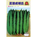 きゅうり 種 【夏節成胡瓜】 小袋 ( 種 野菜 野菜種子 野菜種 )