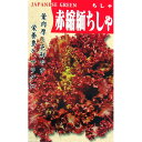 レタス 種 【赤ちりめんちしゃ】 2ml ( 種 野菜 野菜種子 野菜種 )