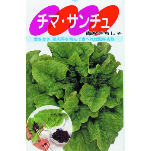 【チマサンチュ】 小袋 （ 種 野菜 野菜種子 野菜種 ）