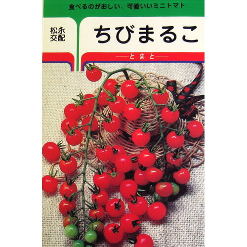 ミニトマト 種 【ミニトマト ちびまるこ】 30粒 （ 種 野菜 野菜種子 野菜種 ）