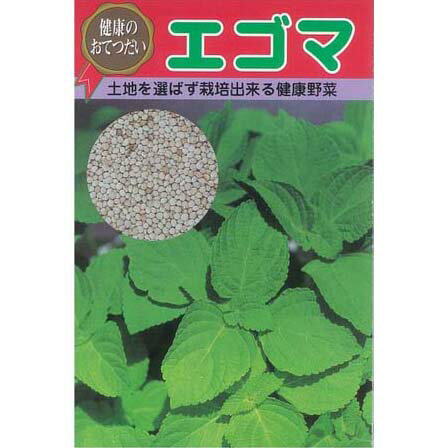 ごま 種 【 えごま 】 種子 小袋(10ml) （ 種 野菜 野菜種子 野菜種 ）