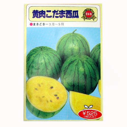 メール便で10袋まで同梱できます。 種子と責任種子は努めて純良なものをご用意しておりますが、商品の性質上100%の純度や発芽は望めません。商品の包装等に記載のある、発芽試験結果を満たした商品をお届けいたします。発芽は播種後の条件により結果が異なるため、温度や水分などを品目ごとに適した条件下で管理してください。不適条件下では発芽しないことがあり、また100%同一ではなく、まれに異株が出る場合がございます。種子・苗などについて、発芽後および植えつけ後の栽培条件や天候などによって結果が異なりますので、商品の生長後や収穫物に対する補償はいたしかねます。また商品の性質上、結果不良につきましてはお買い上げ金額の範囲内とさせていただきます。(お客様の栽培管理や気象条件による結果不良につきましては、その責任を負いかねます)独自に加工されたものや、お届け後に有効期限を超えられたものにつきましては責任を負いかねます。野菜などの収穫物については、品種の特性や栽培条件などにより生育に差が生じることがあり、収穫物のサイズ、重量、味などは掲載表現と異なる場合がございます。黄肉こだま平均果重1.5kgの小玉種果肉はクリーム色。シャリがあり、上品な甘さが特長。強勢で2番果も確実にとれる極早生の豊産種。小玉だから冷蔵庫でそのまま冷やせます。小袋種子の内容量表記について農作物である商品の特性上、小袋パッケージの商品に関しましては、販売時期により、内容量が変更になる場合があります。商品名に内容量が記載されている場合がございますが、あくまで目安であり、1mlほど前後するものとお考え下さい。また、内容量が増減したことによる価格の変更もありません。あらかじめご了承いただいた上で、ご注文をお願いいたします。