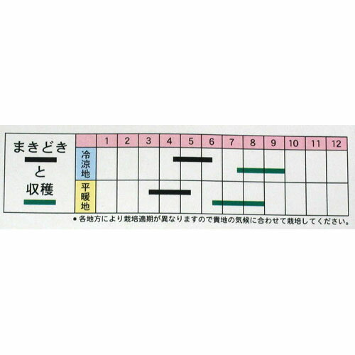 大根 種 【 白首夏大根 】 種子 小袋（約10ml） （ 種 野菜 野菜種子 野菜種 ）