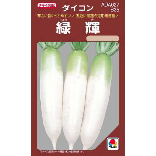 Other - 大根 種 【 緑輝 】 小袋 （約9.0ml）
