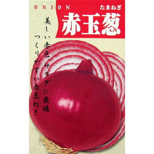たまねぎ 種 【赤玉葱】 小袋 （ 種 野菜 野菜種子 野菜種 ）のサムネイル