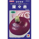 たまねぎ 種 【猩々赤】 20ml ( 種 野菜 野菜種子 野菜種 ) ★