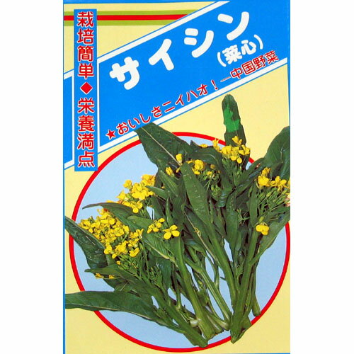 樂天商城 - 【菜心】 小袋 （ 種 野菜 野菜種子 野菜種 ）