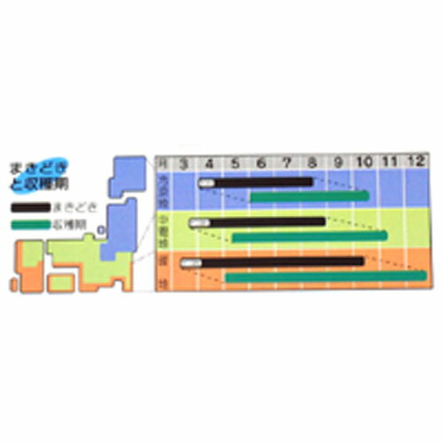 ���󤲤�� �� �ڥ��󥲥󥵥��� 50ml �� �� ��� ��ڼ�� ��ڼ� ��