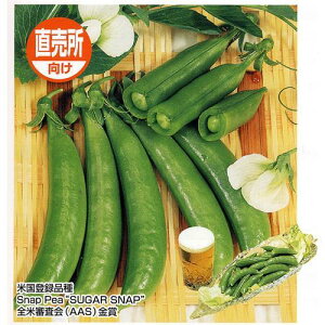 スナップエンドウ 種 【スナック】 1dl （ 種 野菜 野菜種子 野菜種 ） ★