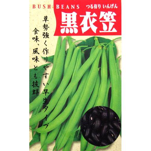 つるありいんげん 種 【黒種衣笠】 1dl （ 種 野菜 野菜種子 野菜種 ）