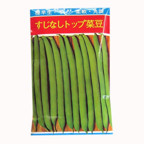 つるなしいんげん 種 【すじなしトップ】 1dl （ 種 野菜 野菜種子 野菜種 ）