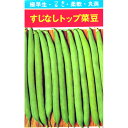 つるなしいんげん 種 【すじなしトップ】 30ml ( 種 野菜 野菜種子 野菜種 )