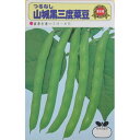 つるなしいんげん 種 【山城黒三度】 小袋 ( 種 野菜 野菜種子 野菜種 )