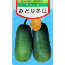 冬瓜 種 【 みどり冬瓜 】 種子 小袋（約8ml） （ 種 野菜 野菜種子 野菜種 ）