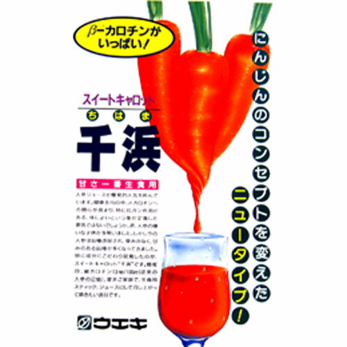 にんじん 種 【ちはま五寸】 小袋 （ 種 野菜 野菜種子 野菜種 ）