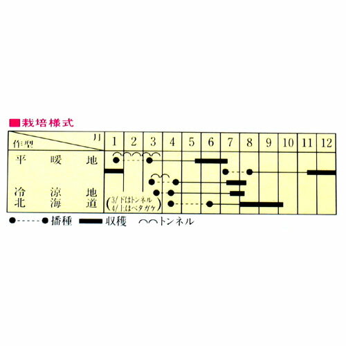 �ˤ󤸤� �� �ڤ��Ϥ޸����� ���� �� �� ��� ��ڼ�� ��ڼ� ��