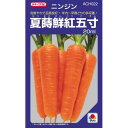 にんじん 種 【 夏蒔鮮紅五寸 】 種子 小袋(約20ml) ( 種 野菜 野菜種子 野菜種 )