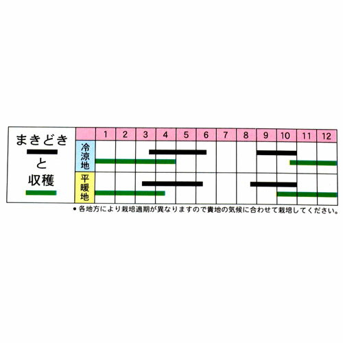 ネギ 種 【下仁田】 小袋 (約8ml)（ 種 野菜 野菜種子 野菜種 ）