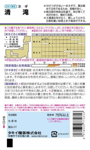 ネギ 種 【 清滝 】 小袋 GF ( ネギの種 )