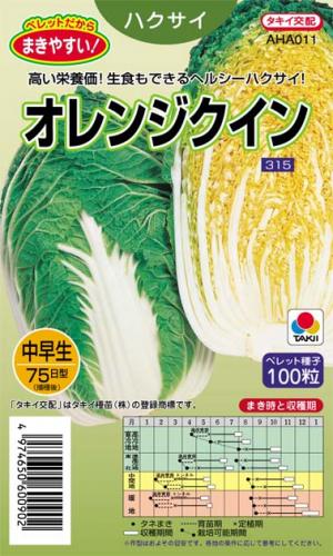 白菜 種  ペレット100粒 （ 種 野菜 野菜種子 野菜種 ）