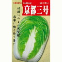 白菜 種 【京都三号】 8ml （ 種 野菜 野菜種子 野菜種 ）