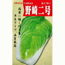 白菜 種 【野崎二号】 8ml ( 種 野菜 野菜種子 野菜種 )