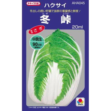 白菜 種 【 冬峠 】 種子 小袋（約20ml） （ 種 野菜 野菜種子 野菜種 ）
