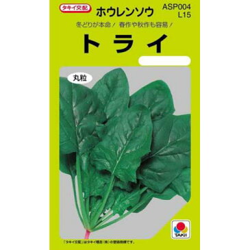 ホウレンソウ 種 【トライ】 MF 25ml （ 種 野菜 野菜種子 野菜種 ） ★