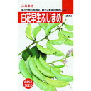 ふじ豆 種 【 白花早生ふじ豆 】 種子 小袋（約20ml） （ 種 野菜 野菜種子 野菜種 ）